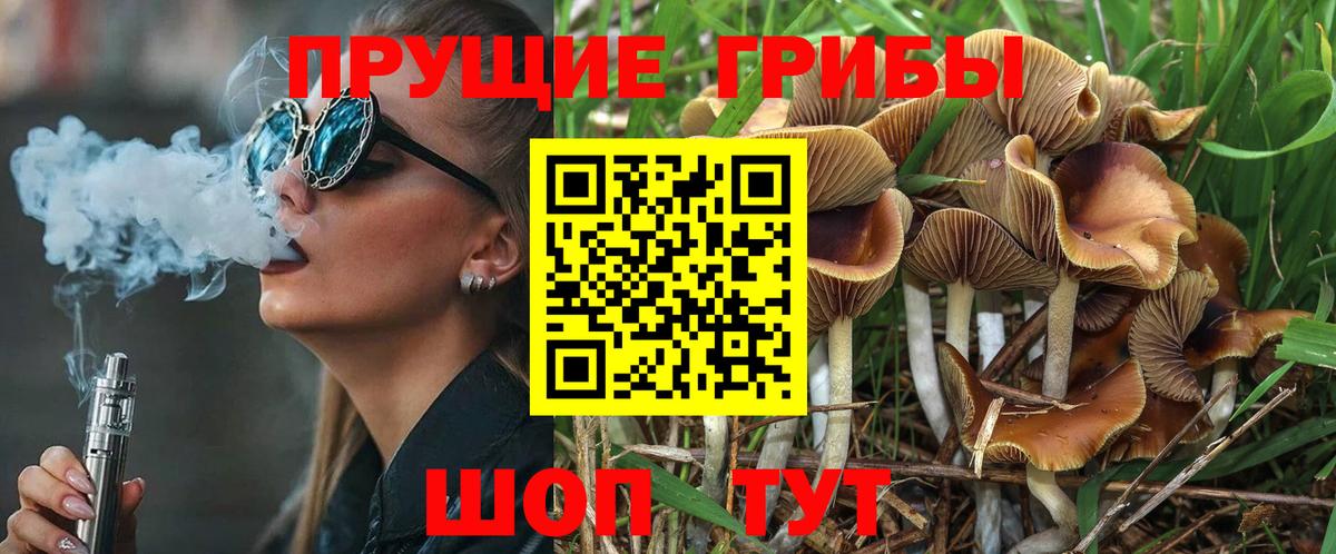 что такое   Псилоцибиновые грибы Psilocybe  Вход с VPN  Геленджик 