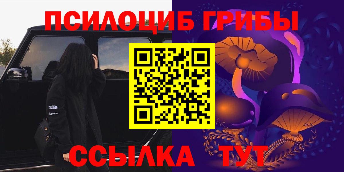 Псилоцибиновые грибы мицелий Геленджик